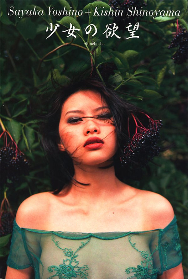 虫虫漫画大全：探索漫画的奇妙世界